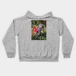 She-Ra on a Dinosaur Kids Hoodie